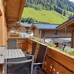 Hochalmbahnen 8w2, Alpenrebe, Nahe Gondel *
