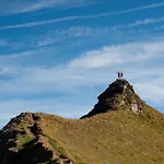 Hochalmbahnen 8w2, Alpenrebe, Nahe Gondel Daire Rauris