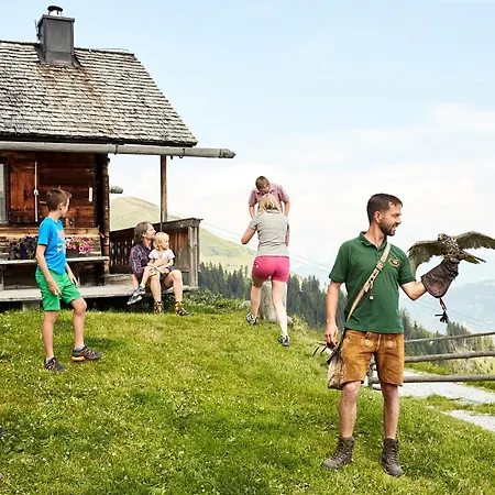 Hochalmbahnen 8w2, Alpenrebe, Nahe Gondel Lejlighed
