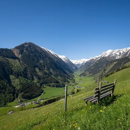 Hochalmbahnen 8w2, Alpenrebe, Nahe Gondel Daire *