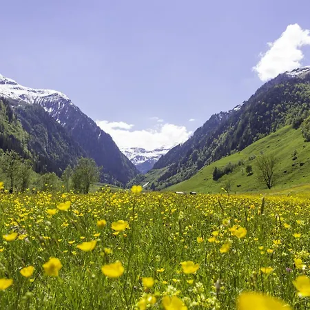 Hochalmbahnen 8w2, Alpenrebe, Nahe Gondel