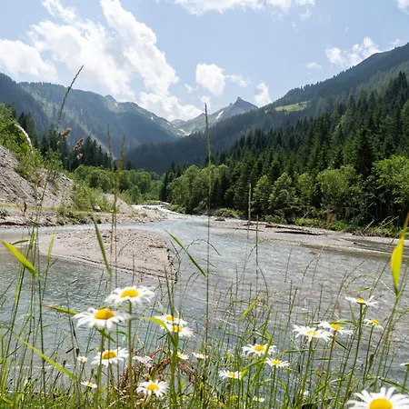 Hochalmbahnen 8w2, Alpenrebe, Nahe Gondel Daire Rauris