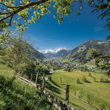Hochalmbahnen 8w2, Alpenrebe, Nahe Gondel Daire *